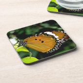 Orangefarbene, schwarze und weiße Schmetterlinge a Untersetzer (Linke Seite)