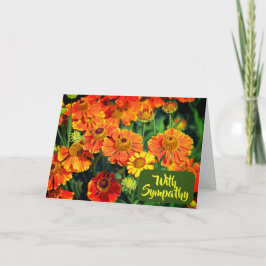 Orangefarbene Sneezekraut-Blume Foto mit Beileid Karte