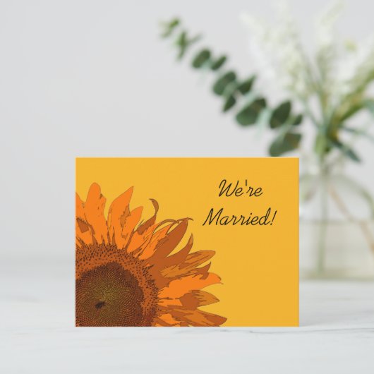 Orangefarbene Sonnenblume bei der Ankündigung der (Stehend Vorderseite)