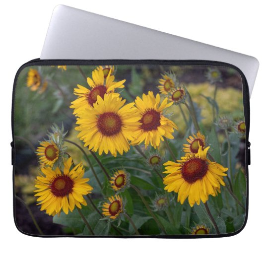 Orangefarbene Sonnenblumen, helles Sommerblumengeb Laptopschutzhülle (Vorderseite)