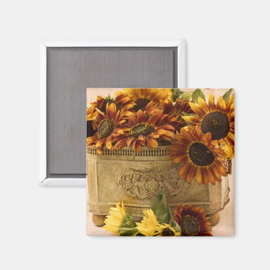 Orangefarbene Sonnenblumen im Körbchen Magnet (Vorderseite/Rückseite)