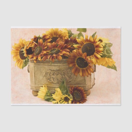 Orangefarbene Sonnenblumen im Körbchen Seidenpapier (Vorderseite)