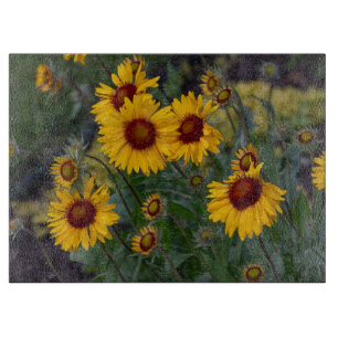 Orangefarbene Sonnenblumen, lebhafte und strahlend Schneidebrett