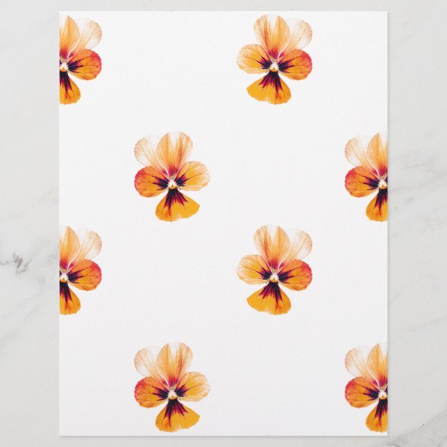 orangefarbene Stiefmütterchen (Vorderseite)