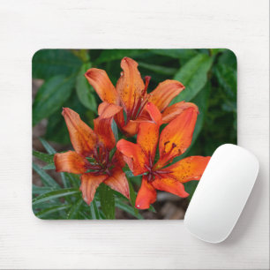 Orangefarbene Taglilie Fotografie, kanadische Schö Mousepad