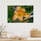 Orangefarbene Taglilie - Tigerlilie - Blume. Poster (Küche)