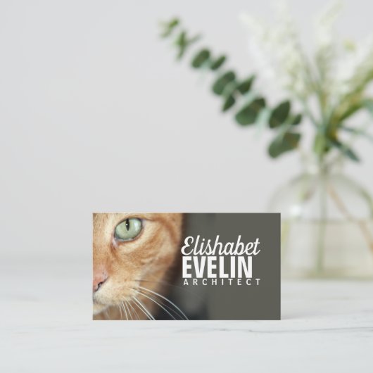 Orangefarbene Tigerkatze Visitenkarte (Stehend Vorderseite)