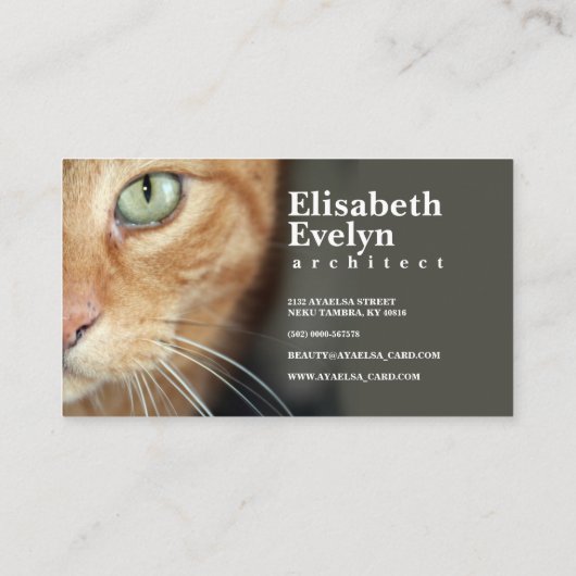 Orangefarbene Tigerkatze Visitenkarte (Rückseite)