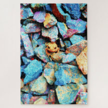 Orangefarbene Toten umgeben von farbenfrohen Felse