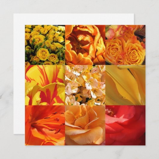 Orangefarbene und gelbe Blumen (Vorne/Hinten)