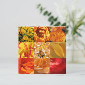 Orangefarbene und gelbe Blumen (Stehend Vorderseite)