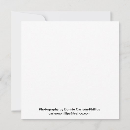 Orangefarbene und gelbe Blumen (Rückseite)