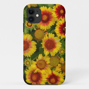 Orangefarbene und gelbe Echinacea Blumenkoffer Case-Mate iPhone Hülle