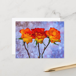 Orangefarbene und gelbe Rosen in einer Reihe von P Postkarte