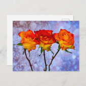 Orangefarbene und gelbe Rosen in einer Reihe von P Postkarte (Vorne/Hinten)