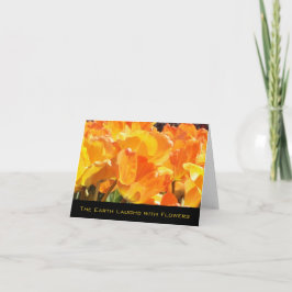Orangefarbene und gelbe Tulips Erde lacht mit Blum