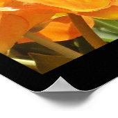 Orangefarbene und gelbe Tulips-Erde lacht mit Blum Poster (Ecke)