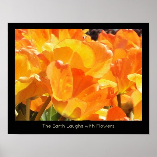Orangefarbene und gelbe Tulips-Erde lacht mit Blum Poster (Vorne)
