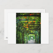 Orangefarbene und gelbe Zitronen auf grünen Trelli Postkarte (Vorne/Hinten)