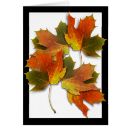 Orangefarbene und goldene Herbstblätter