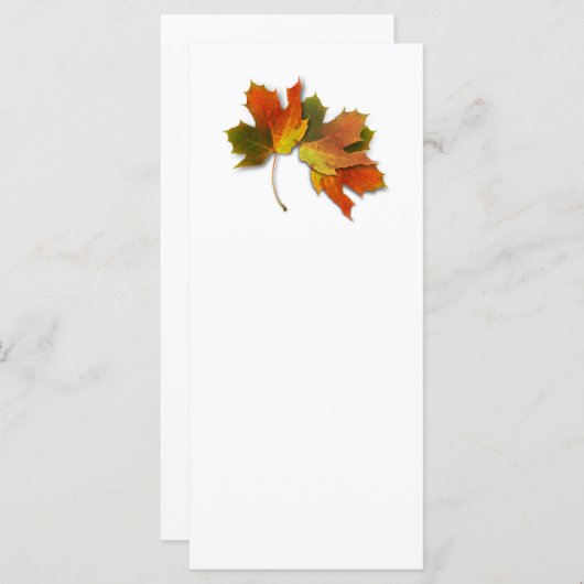 Orangefarbene und goldene Herbstblätter (Vorne/Hinten)