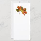 Orangefarbene und goldene Herbstblätter (Vorderseite)