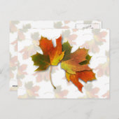 Orangefarbene und goldene Herbstblätter Postkarte (Vorne/Hinten)