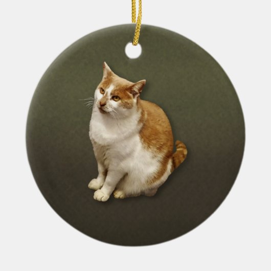 Orangefarbene und Kurze Haarkatze Keramik Ornament (Vorne)