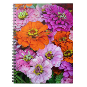 Orangefarbene und lila Zinnia-Blume Notizblock