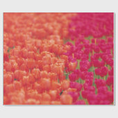 Orangefarbene und rosa Tulips Geschenkpapier (Flach)