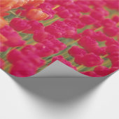 Orangefarbene und rosa Tulips Geschenkpapier (Ecke)