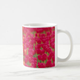 Orangefarbene und rosa Tulips Kaffeetasse