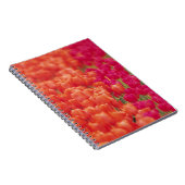 Orangefarbene und rosa Tulips Notizblock (Rechte Seite)