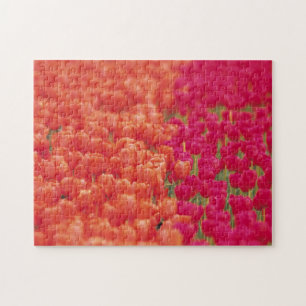 Orangefarbene und rosa Tulips Puzzle