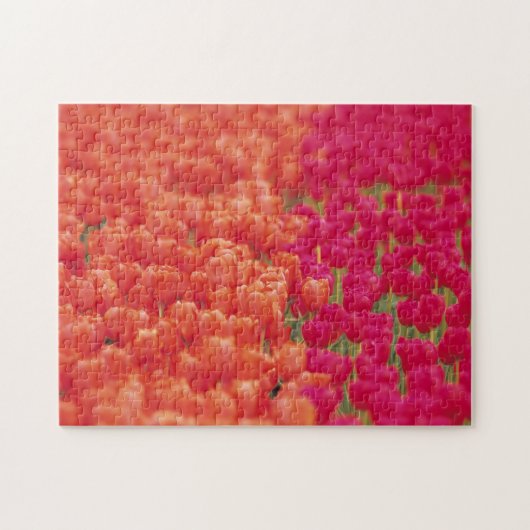 Orangefarbene und rosa Tulips Puzzle (Horizontal)