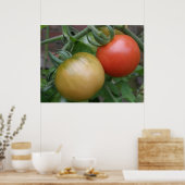 Orangefarbene und rote Tomaten Poster (Küche)