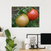 Orangefarbene und rote Tomaten Poster (Heimbüro)