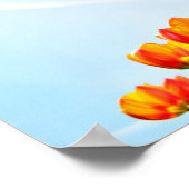Orangefarbene und rote Tulpen von unten Poster (Ecke)