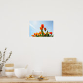 Orangefarbene und rote Tulpen von unten Poster (Küche)