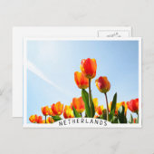 Orangefarbene und rote Tulpen von unten Postkarte (Vorne/Hinten)