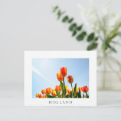 Orangefarbene und rote Tulpen von unten Postkarte (Stehend Vorderseite)