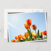 Orangefarbene und rote Tulpen von unten Postkarte (Vorne/Hinten)