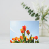 Orangefarbene und rote Tulpen von unten Postkarte (Stehend Vorderseite)