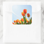 Orangefarbene und rote Tulpen von unten Quadratischer Aufkleber (Tasche)