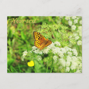 Orangefarbene und schwarze Butterfly Weiße Blume Postkarte