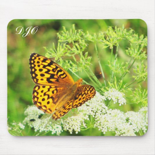 Orangefarbene und schwarze Schmetterlinge auf weiß Mousepad (Vorne)