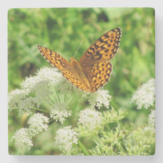 Orangefarbene und schwarze Schmetterlinge mit weiß Steinuntersetzer (Vorderseite)