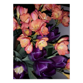 Orangefarbene und violette Blumen Poster