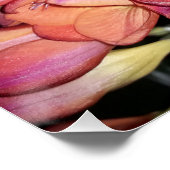 Orangefarbene und violette Blumen Poster (Ecke)