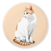 Orangefarbene und weiße Katze Keramikknauf (Vorderseite)